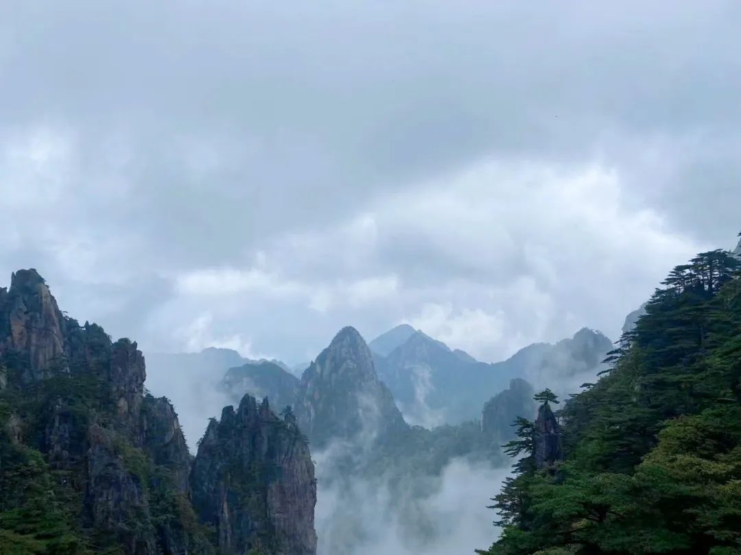 20231214153806819460.jpeg 697.jpeg